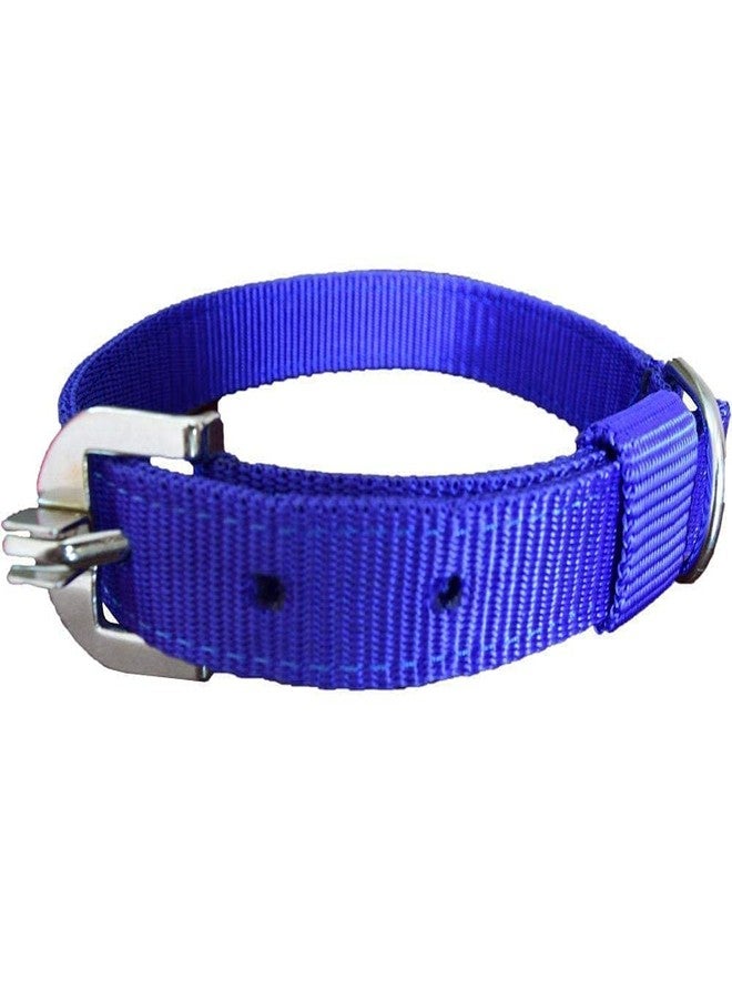 Pups&Pets طوق كلاب أزرق قابل للتعديل من النايلون من Pups&Pets، مقاس كبير جدًا (أزرق)، 1.25 بوصة - مناسب للكلاب من السلالات الكبيرة - Image 5