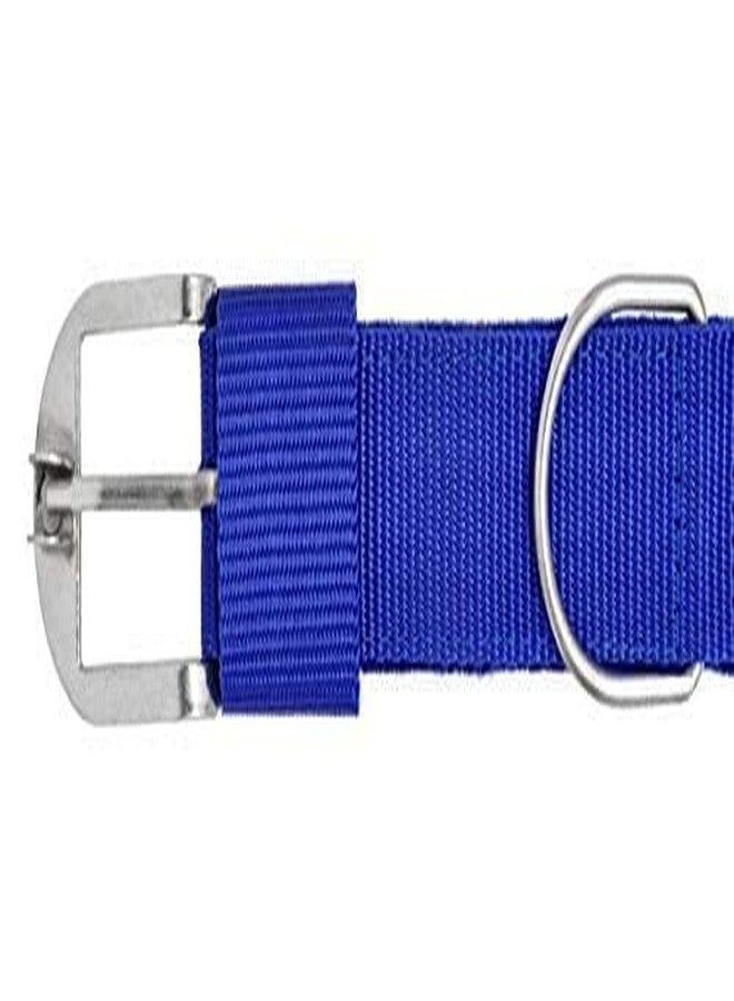 Pups&Pets طوق كلاب أزرق قابل للتعديل من النايلون من Pups&Pets، مقاس كبير جدًا (أزرق)، 1.25 بوصة - مناسب للكلاب من السلالات الكبيرة - Image 3