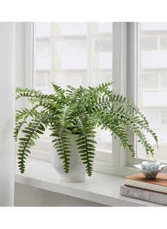 Generic Generic Artificial potted plant, in/outdoor fern, 15 cm  - Image 2