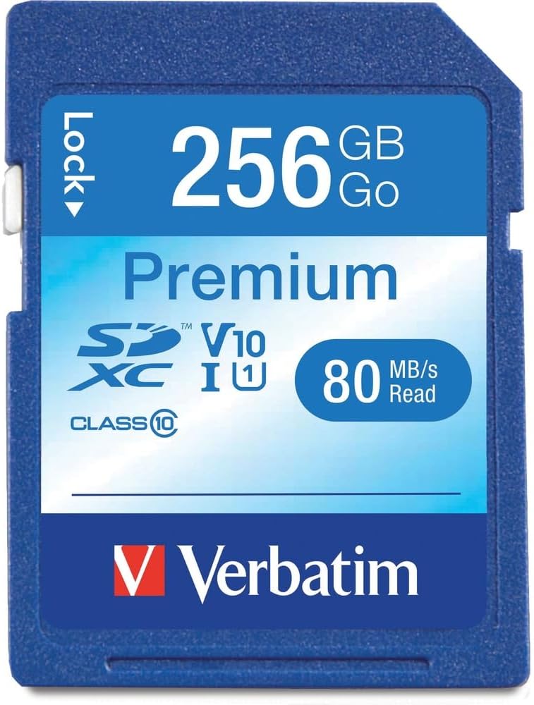 بطاقة ذاكرة SDXC بسعة 256 جيجابايت، UHS-I V10 U1 فئة 10