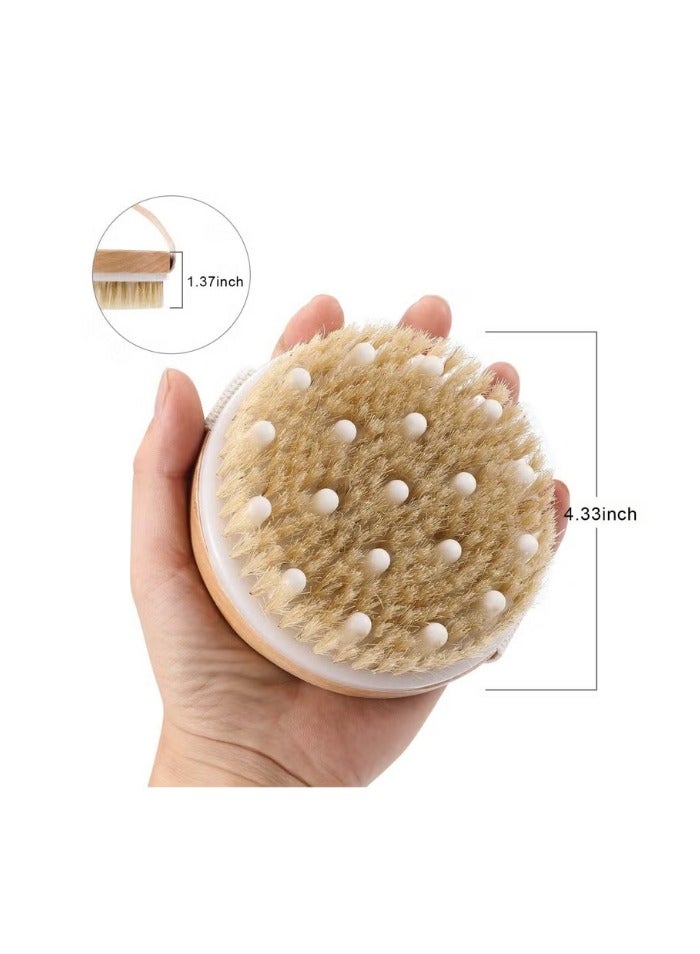 Dry and wet dual-purpose body brushes, exfoliating massage brushes, dry bristles, bath brushes, and body care brushes suitable for both men and women - Image 5