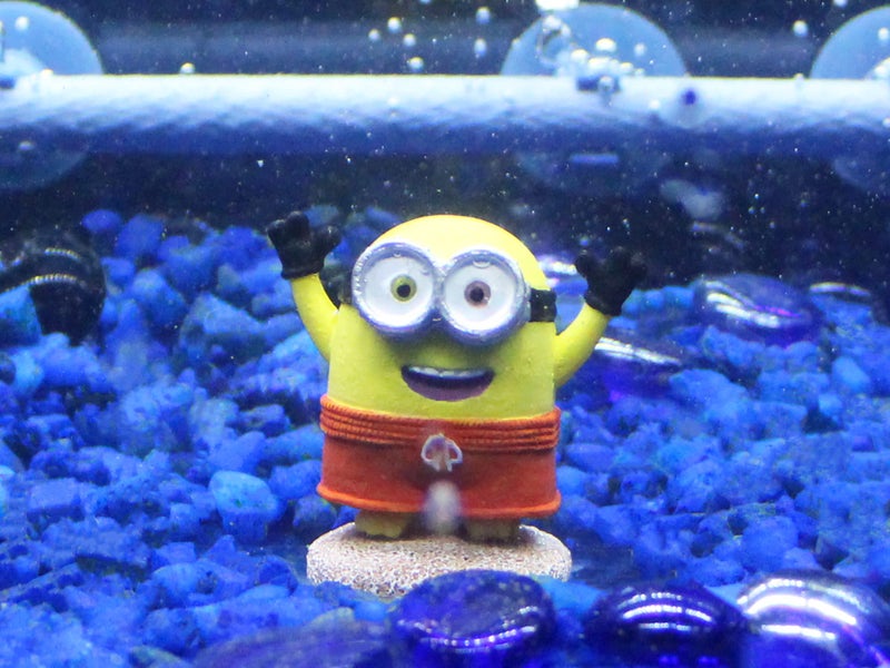 Penn Plax Penn-Plax Minions Officially Licensed 3-Piece Aquarium Ornament Bundle â€“ Includes Kevin, Stuart, and Bob â€“ Beach Themed â€“ Small - Image 5