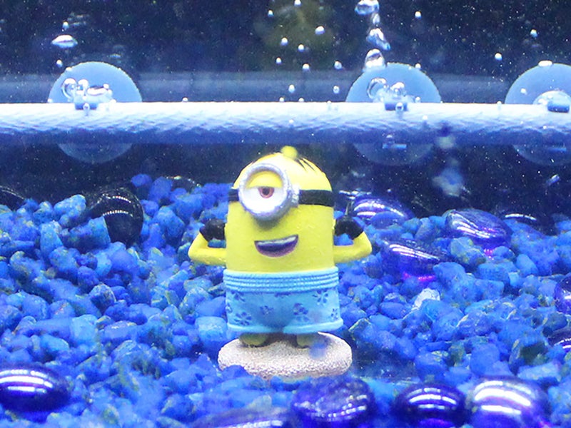 Penn Plax Penn-Plax Minions Officially Licensed 3-Piece Aquarium Ornament Bundle â€“ Includes Kevin, Stuart, and Bob â€“ Beach Themed â€“ Small - Image 3