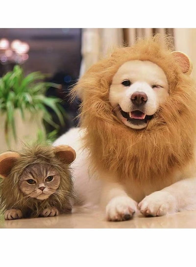 Uliova Lion Mane Cat Wig with Ears, Adjustable Lion Hat Costume for Small Cats Kittens, Pet Cosplay Birthday Party Photo Accessory, Fits Neck Within 13 Inches - Image 3