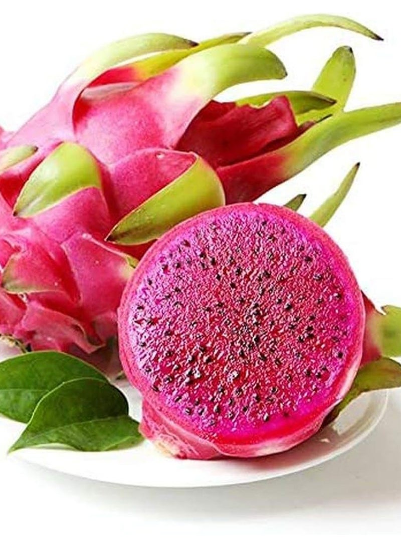 GGOOT 100pcs Pitaya Seeds  - Image 1