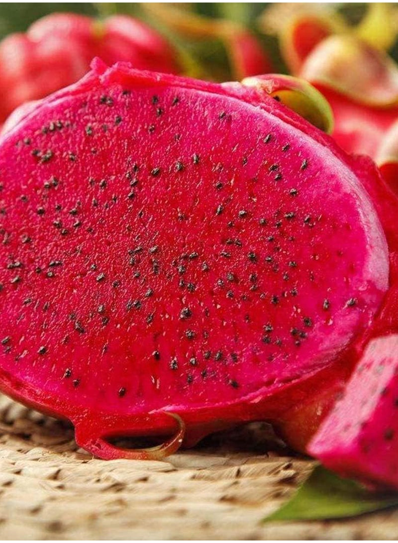 GGOOT 100pcs Pitaya Seeds  - Image 3