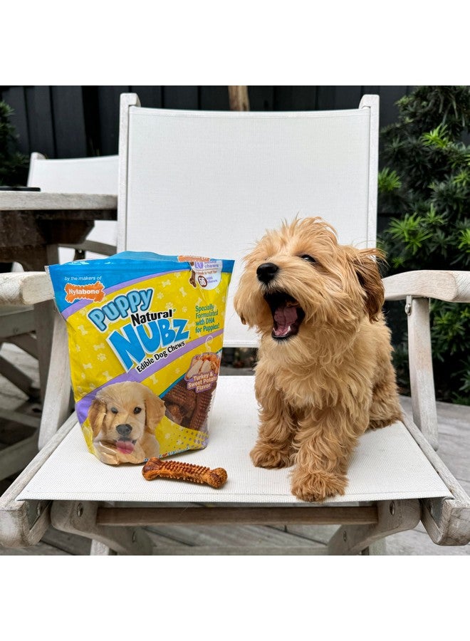 Nylabone Nubz Natural Edible Chew Treats for Puppies, Long Lasting Chews Made in USA, Turkey & Sweet Potato Flavor, Small - Up to 25 lbs. (28 Count) - Image 5