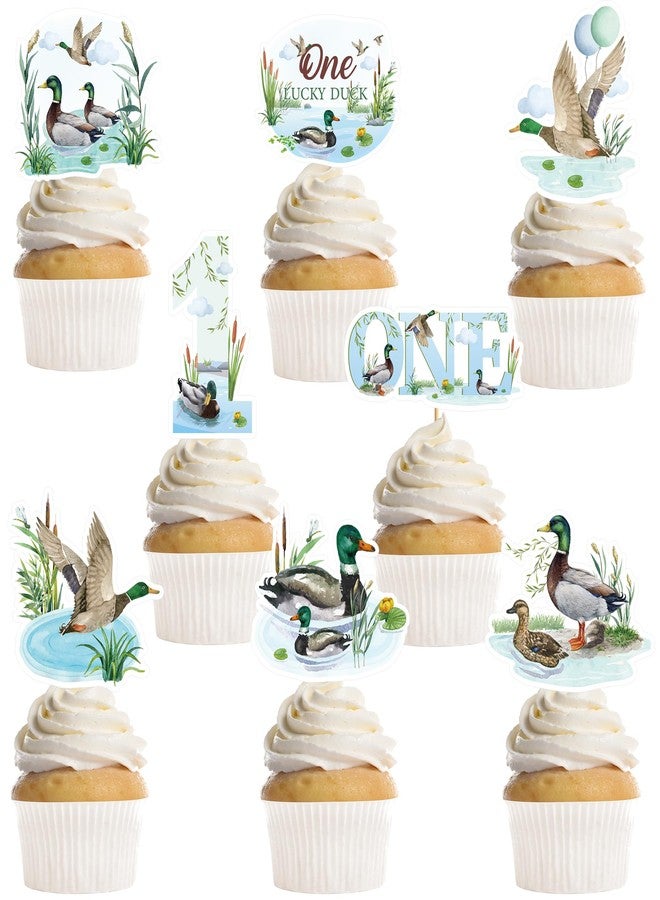 EoBeCy 40 Pcs One Lucky Duck Birthday Decorations, 1st Birthday Cupcake Toppers with Mallard Duck Rustic Pond Designs, One Year Old Party Supplies for Boys or Girls (8 Designs) - Image 1