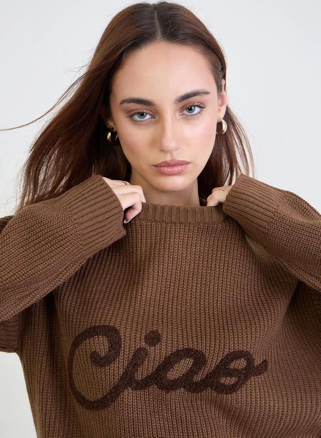Coffee Brown Regular Fit Embroidered Sweater