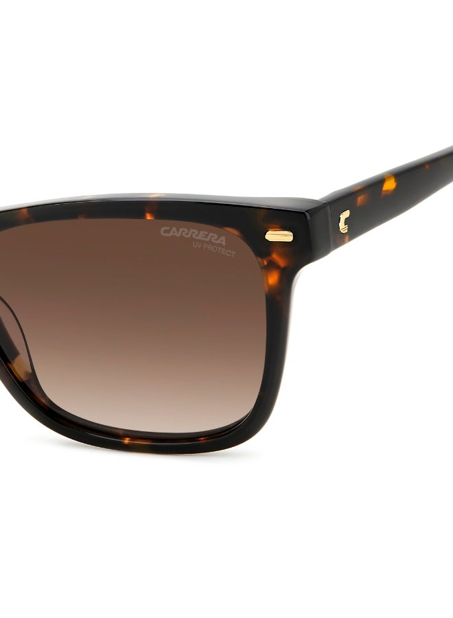 Carrera إطارات نظارات شمسية كارييرا مستطيلة - Image 5