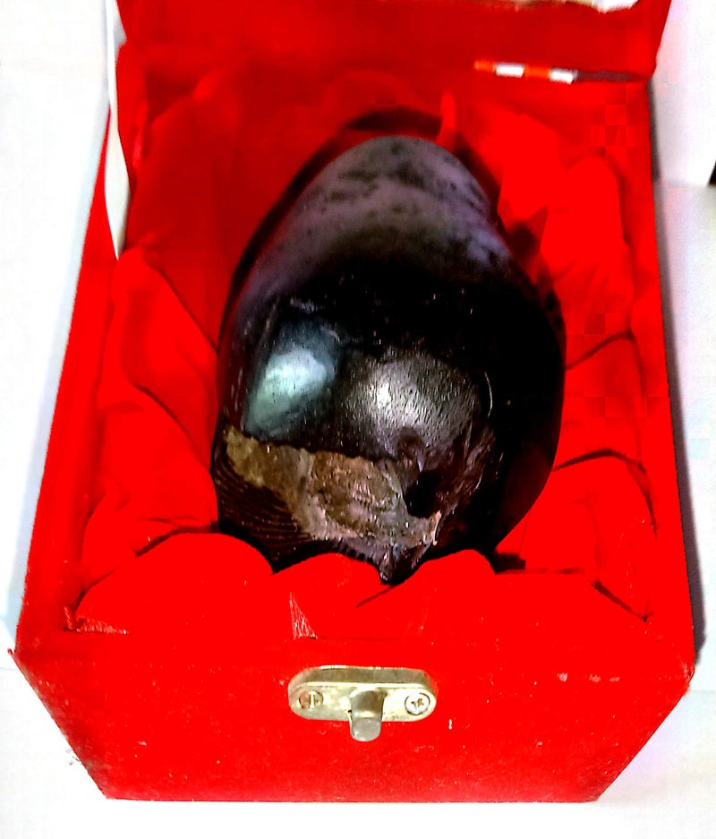 Devama The Divine™ Original Vasudeva Shaligram Vasudev Shaligrama Stone Shaligram in a Beautiful Box/Asli Shaligram from Gandaki River - Image 3