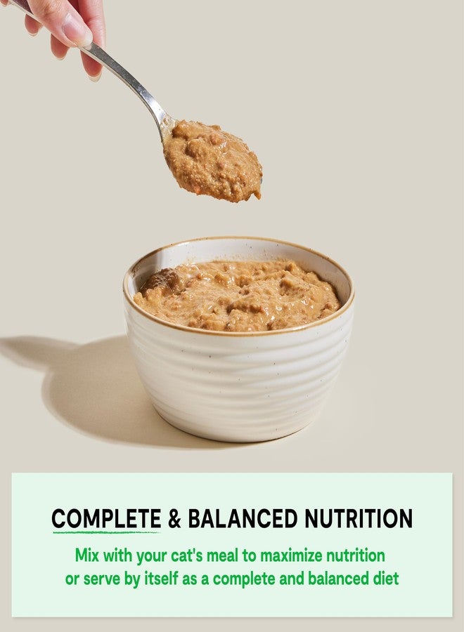 Open Farm طعام القطط الرطب من أوبن فارم روستيك بلند، مزيج كامل ومتوازن بمكونات صالحة للاستهلاك البشري، ولحوم من حيوانات تربى بطريقة إنسانية، وخضراوات غير معدلة وراثيًا ومرق عظام، وصفة دجاج وسمك سلمون، عبوات 5.5 أونصة (كرتونة من 12 عبوة) - Image 3