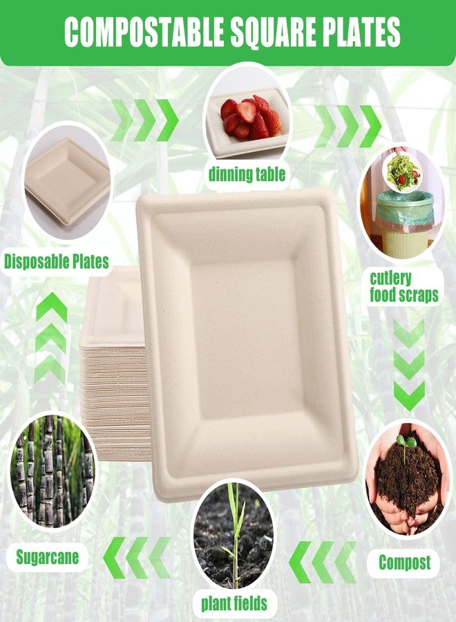 Bgtecho 125 Pack Compostable Square Plates,6 Inch Disposable Paper Plate,Heavy Duty Square Paper Plates,Biodegradable Bagasse Plate for Party Picnic Dessert,Natural Brown - Image 3
