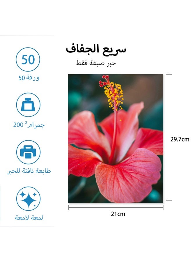 هوسبر ورق صور لامع A4 من HUSPER، 200 غرام/م²، 50 ورقة، لطابعات الحبر النافذ | الحبر الصبغي فقط | طباعات صور عالية الجودة، منشورات (لا مناسب للحبر الصبغي أو الطابعات الليزرية)​ - Image 2
