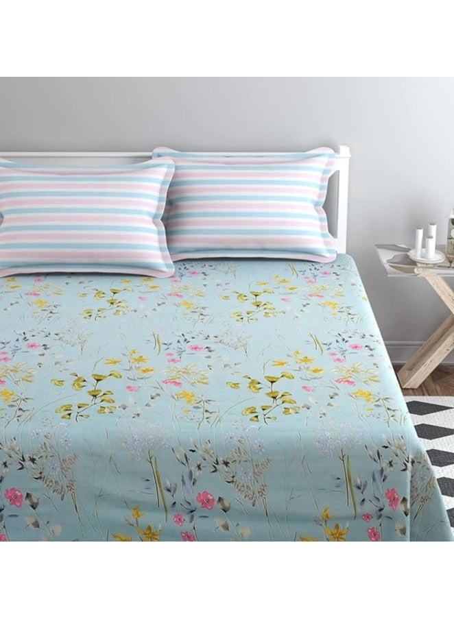 BSB HOME أغطية سرير كينج من قطن جليسي الفاخر مع 2 غطاء وسادة كينج من كينغستون | أغطية قطن ناعمة فاخرة (مجموعة 3 قطع، 275 × 275 سم ورقة مسطحة، 50 × 75 سم أغطية وسائد، أزرق سماوي ووردي) - Image 2