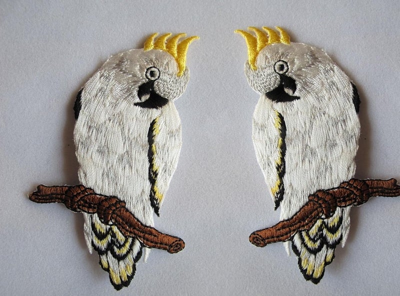 Generic Parrots Embroidery Patch SEW Patch 5 INCH SEW Patch - Image 1