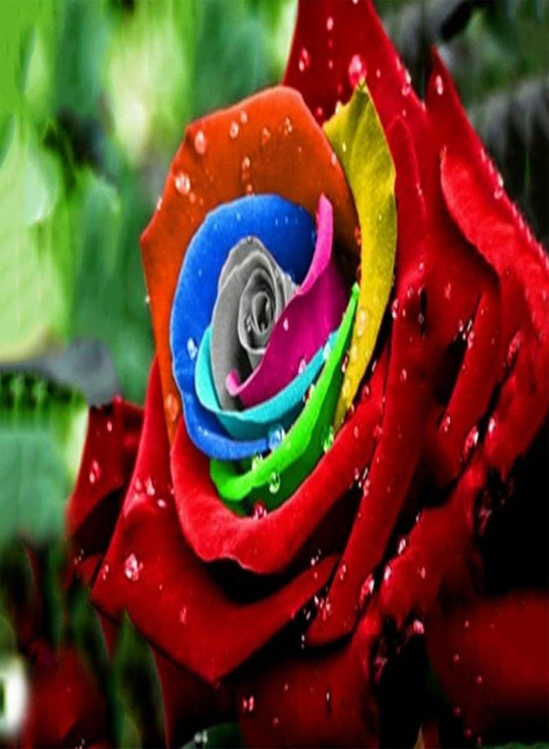 GGOOT Rainbow Rose Flower Seeds, Beautiful Multi-Colored Rose Seeds, Home Garden Rare Plant Seeds (20) - Image 3