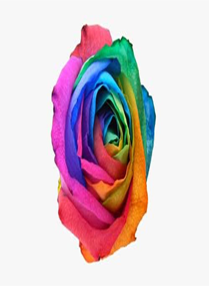 GGOOT Rainbow Rose Flower Seeds, Beautiful Multi-Colored Rose Seeds, Home Garden Rare Plant Seeds (20) - Image 1
