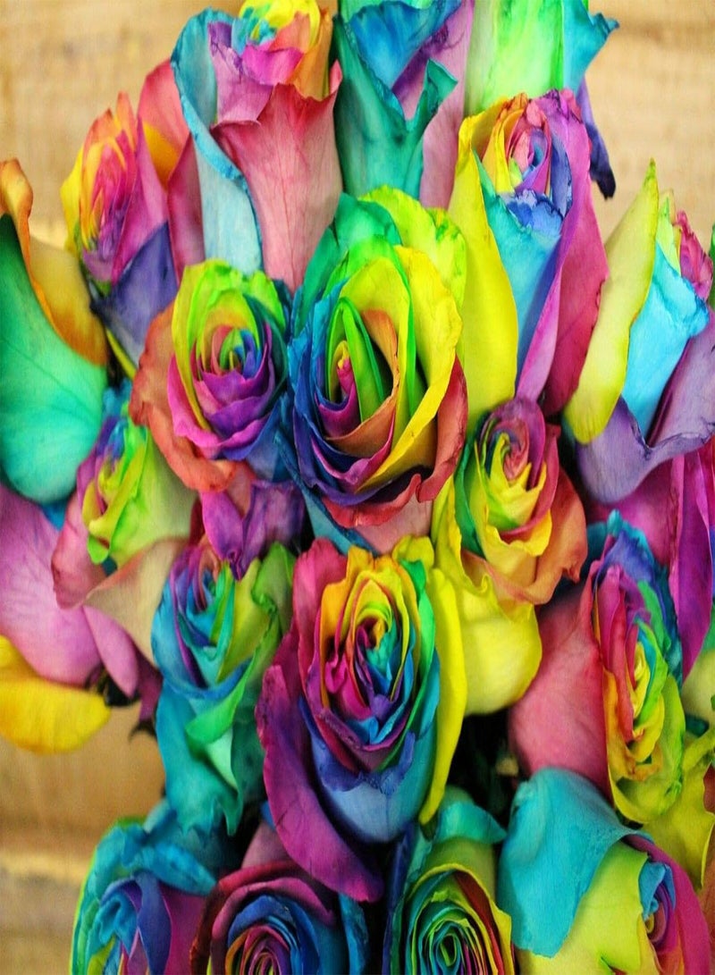 GGOOT Rainbow Rose Flower Seeds, Beautiful Multi-Colored Rose Seeds, Home Garden Rare Plant Seeds (20) - Image 4