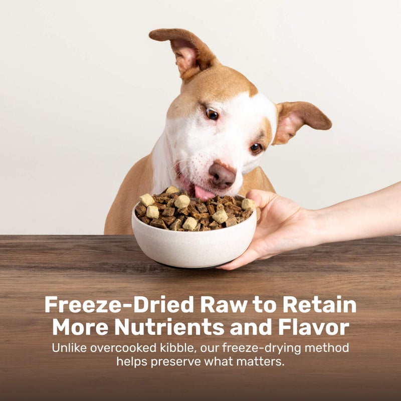 BADLANDS RANCH Superfood Nuggets â€“ Freeze-Dried Raw Dog Treat & Food Topper, Nutrient-Dense Duck & Kale Formula, High Protein, No Artificial Additives, 8oz Bags (4-Pack Bundle) - Image 2
