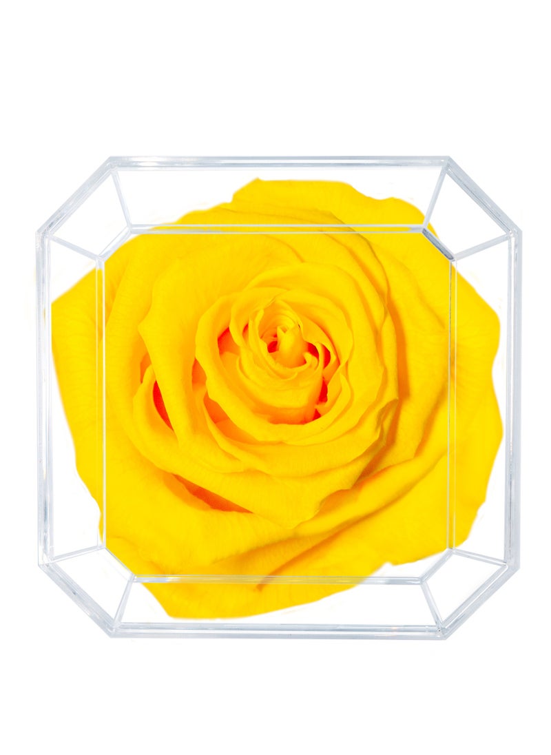 ETERNAL PETALS Eternal Petals, A 100% Real Rose That Lasts Years - Gold Solo (Yellow)  - Image 2
