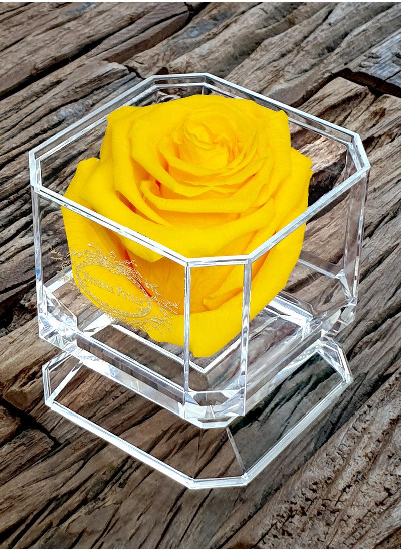 ETERNAL PETALS Eternal Petals, A 100% Real Rose That Lasts Years - Gold Solo (Yellow)  - Image 3