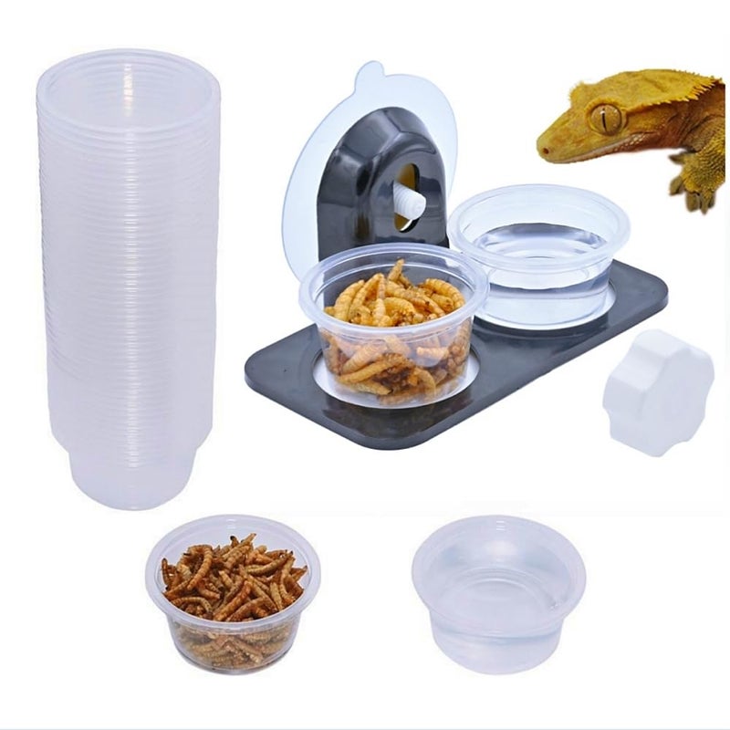 MRTIOO Lizard Gecko Feeding Ledge Holder with 100 pcs 1oz Food Cups Dish - Image 3