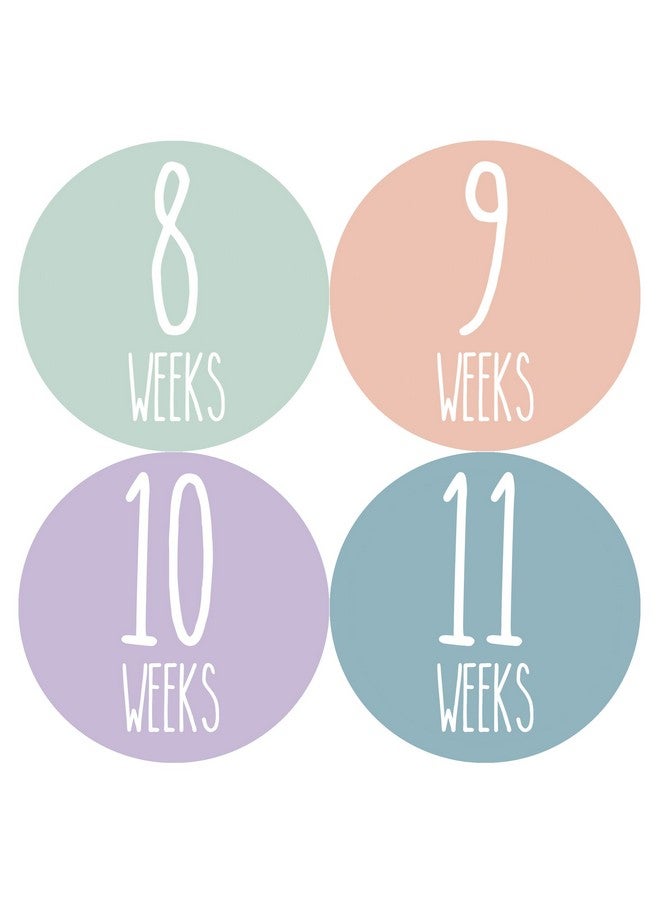 Months In Motion Weekly Pregnancy Growth Sticker | Week to Week Pregnant Expecting Photo Prop | Maternity Keepsake | Baby Bump | Weekly Stickers Photo (Set of 36 Stickers) - Image 1