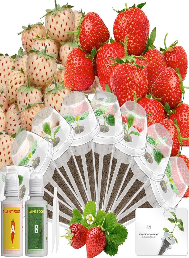 LYKOCLEAN Hydroponic Seed Pod Kit Compatible with AeroGarden, Ahopegarden, iDoo, MUFGA, 8 Pods Complete Growing Anything Garden Supply with Strawberry Seeds, Grow Sponges, Baskets, Domes, Labels - Image 1