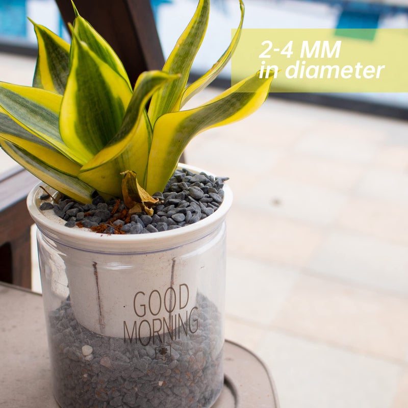 Anothera 7lb Black Cactus Pea Gravel Rocks,1/4 Inch Pebbles for Indoor Plants, Natural Succulent Rock and River Rocks Decorative for Aquariums, Vases, Outdoor Gardening, Top Dressing for Potted Plants - Image 5