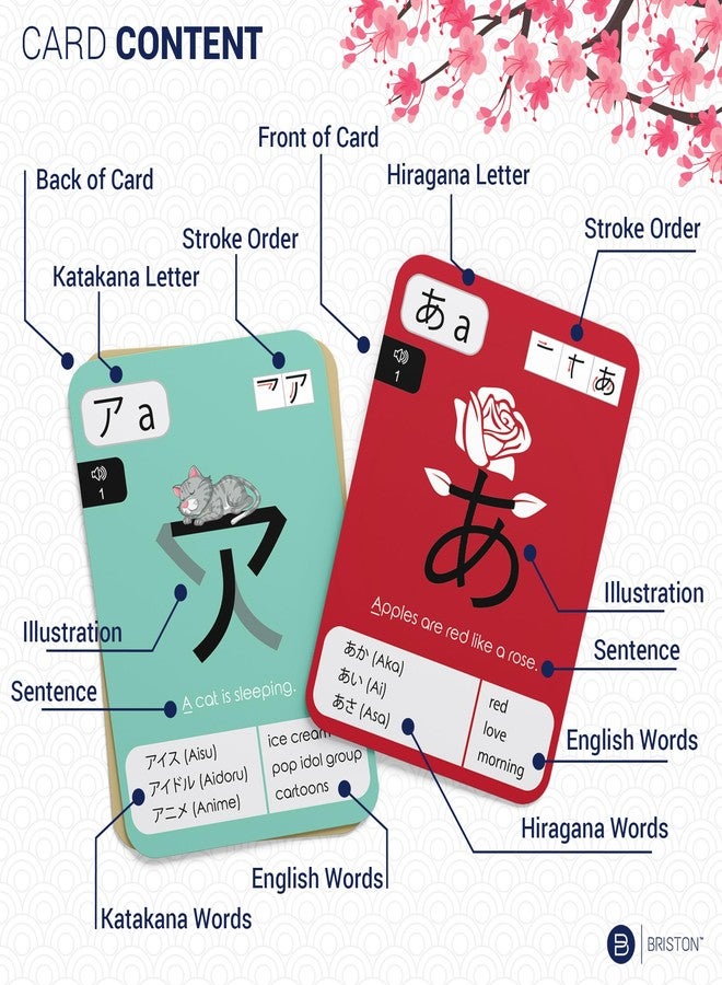 بريستون بطاقات تعليمية لتعلم الهيراجانا والكاتاكانا اليابانية - نظام كتابة مكون من 46 حرفًا - مجموعة موارد تعليمية لتعلم اللغة بأبجدية الحروف - للدراسة والذاكرة والرؤية - الصف أو التعليم المنزلي - Image 2