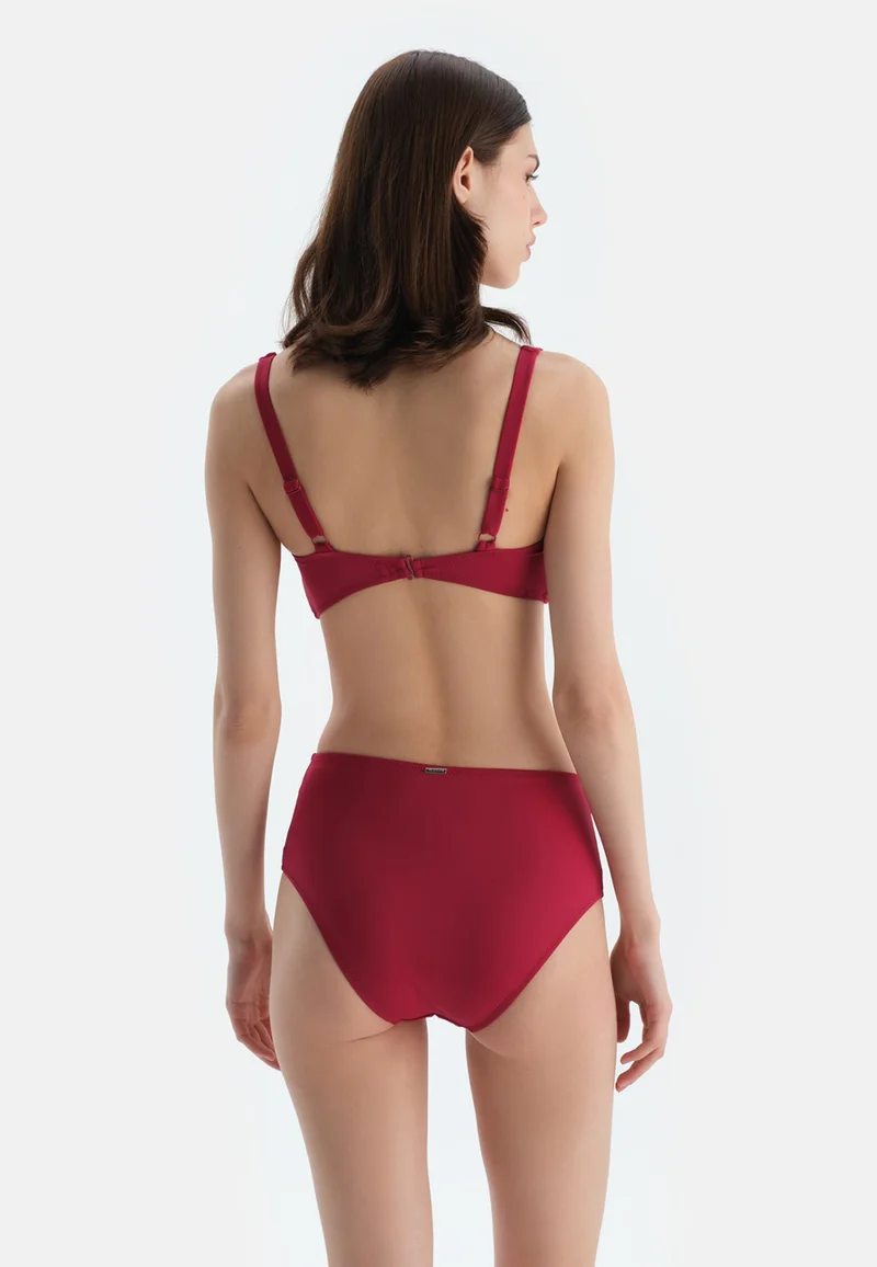 dagi Red Bikini Top
