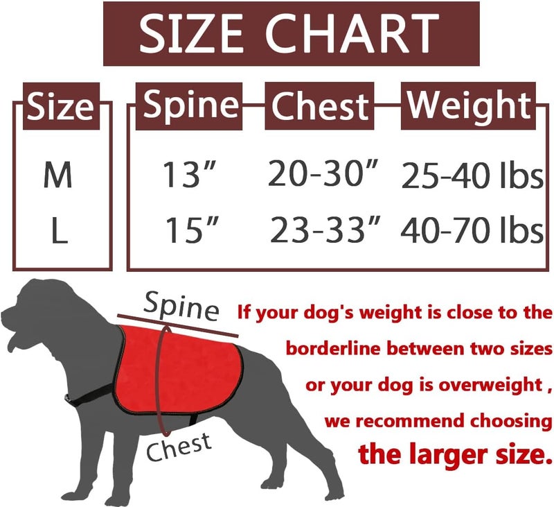 JXGZSO Nervous Rescue Dog Jacket Vest Nervous Rescue Do Not Pet Dog Vest Dog Walking Slogan Warning Vest Nervous Pet L - Image 2
