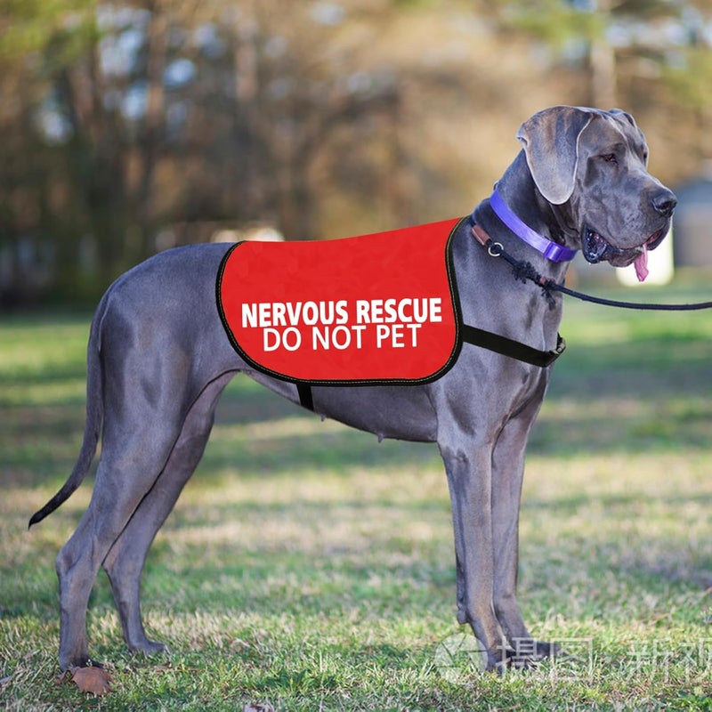 JXGZSO Nervous Rescue Dog Jacket Vest Nervous Rescue Do Not Pet Dog Vest Dog Walking Slogan Warning Vest Nervous Pet L - Image 3