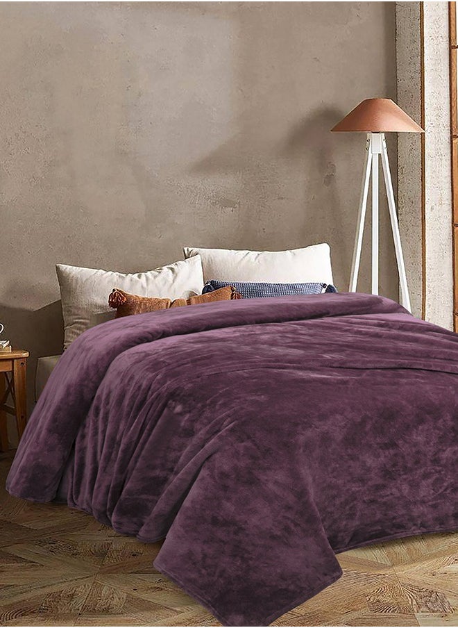 Morano Velvet Blanket Microfiber Material Purple Color 220 X 240 Cm - pzsku/Z261A3474A04B670837F5Z/45/_/1698074093/a93b8f05-9eb0-4215-85c2-6f5bce39de0a