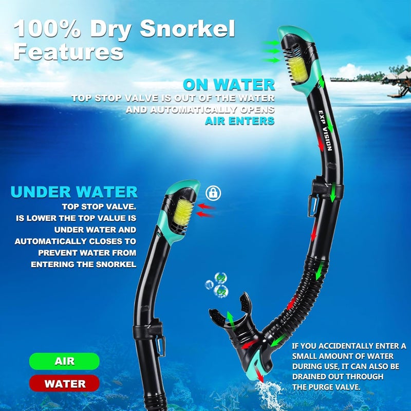 EXP VISION Schnorchelset Schnorchelausrstung fr Erwachsene, Professionelle Anti-Beschlag-Schnorchelmaske, Trockenschnorchel Tauchmaske fr Freitauchen,Schnorcheln,Schwimmen - Image 3