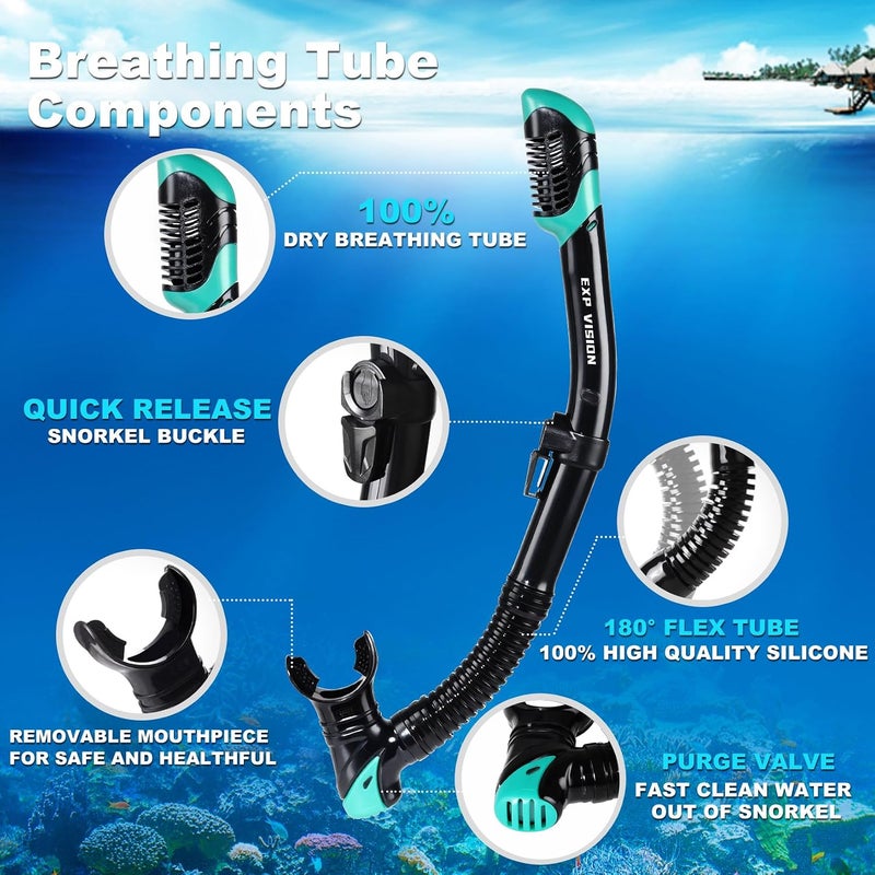 EXP VISION Schnorchelset Schnorchelausrstung fr Erwachsene, Professionelle Anti-Beschlag-Schnorchelmaske, Trockenschnorchel Tauchmaske fr Freitauchen,Schnorcheln,Schwimmen - Image 5