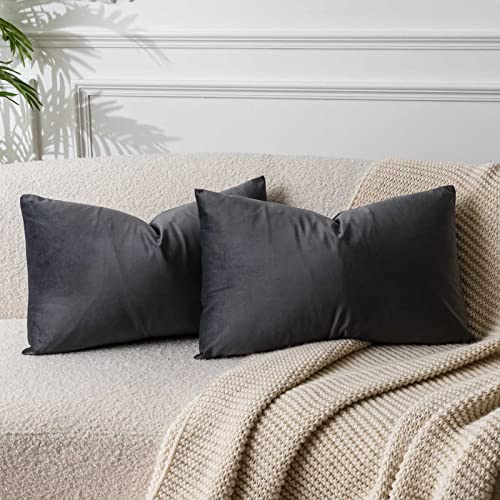 JUSPURBET Throw Pillow Covers Set of 2 Decorative Velvet Pillow Covers for Couch Sofa Bed Soft Lumbar Cushion Covers with Invisible Zipper for Living Room Home DecorDark Gray12x20 inch