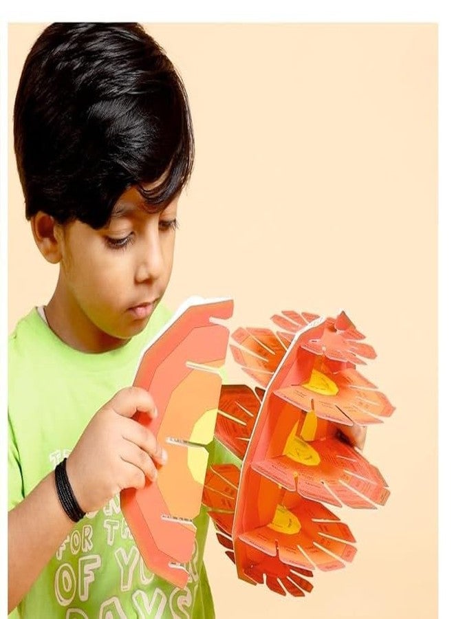 GLOBE DADDY DIY World Globe Kit for Kids - 3D Buildable Educational Toy with Earth Core Layers - Geography Model for Students Ages 3-15 - STEM Learning for Home & Classroom - Image 3