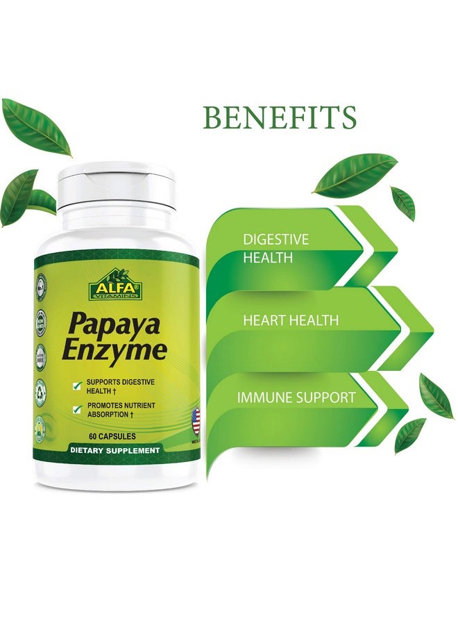 alfa vitamins - Papaya Enzyme 60 Mg Herbal Supplement Enzyme Digestion Support 60 Capsules - Image 1