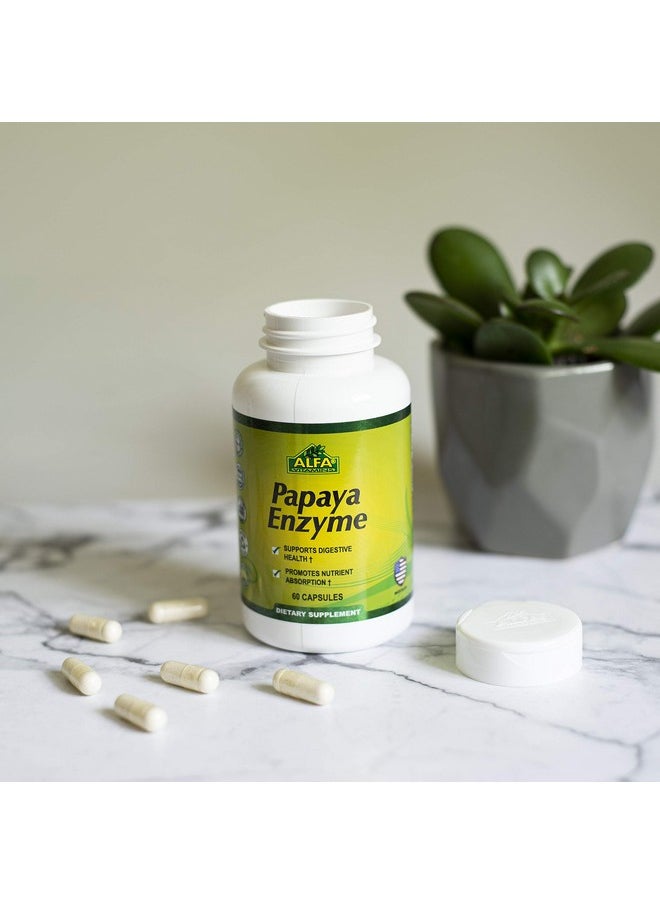 alfa vitamins - Papaya Enzyme 60 Mg Herbal Supplement Enzyme Digestion Support 60 Capsules - Image 1