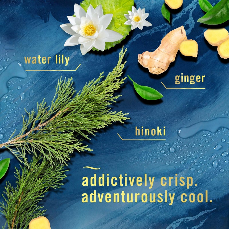 Febreze Plug In Air Freshener, Odor-Fighting Scented Oil Refill, Air Fresheners for Home and Bathroom and Kitchen, Long Lasting for Strong Odors, Moutain/Ocean/Ember Mix, 0.87oz Refills, 3 Count - Image 3