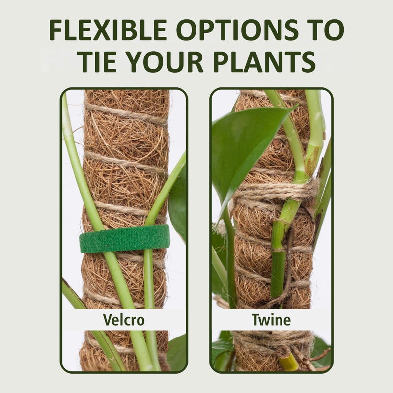 Imezos 2 Pack 30 Inch Moss Pole for Plants, Moss Poles for Climbing Plants Monstera, Handmade Coco Coir Plant Pole, Monstera Plant Support for Plant Grow - Image 4