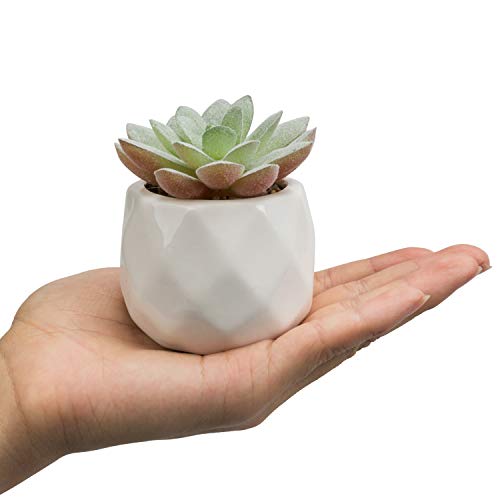 MyGift Mini Assorted Green Faux Succulent, Indoor Fake Plants in Geometric Ceramic Pots, Set of 6 - Image 5