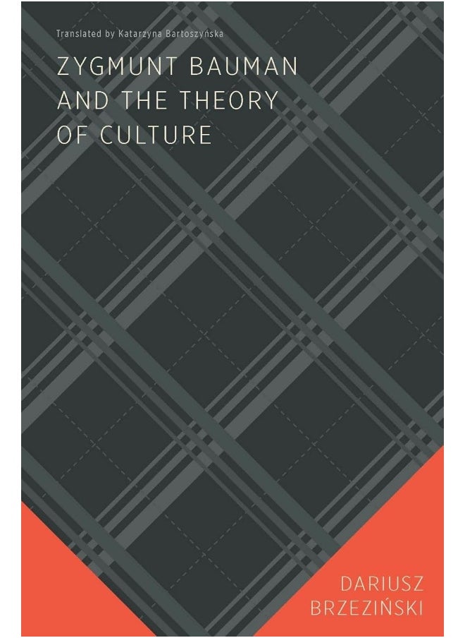 Zygmunt Bauman and the Theory of Culture  - Image 1
