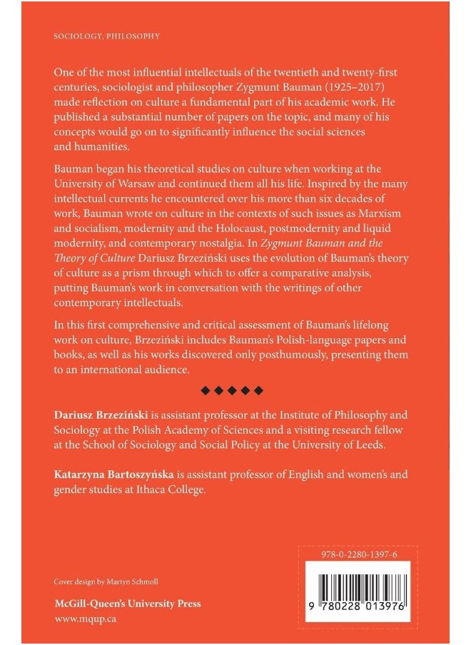 Zygmunt Bauman and the Theory of Culture  - Image 2