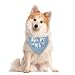 ZPPRJF Adopt me Bandanas for Dogs Baby Blue Dog Bandana Pet Dog Scarf Accessories Pet Dog Triangle Scarf Funny Cute Dog Bandana Dog Bandana for Small Medium Large Dogs Gift for Dog Lover E52 - Image 2