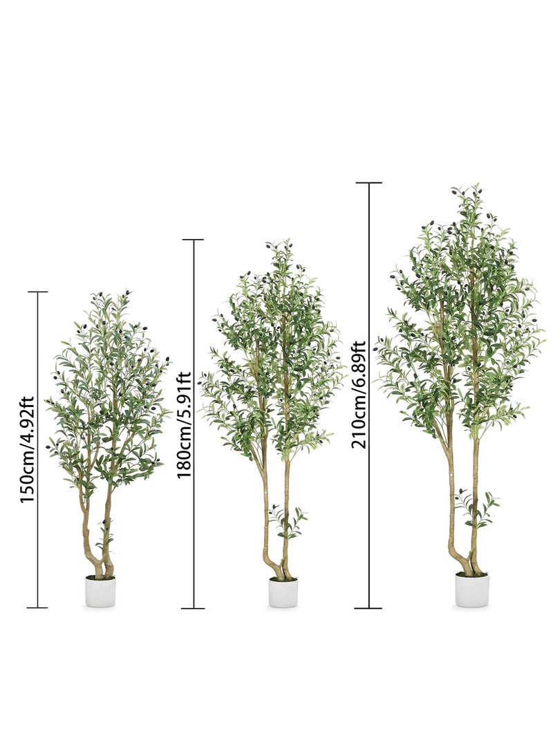 Zvezvia Artificial Olive Tree with Two Trunks – 1882 Dense Leaves & 96 Realistic Fruits, Easy Assembly & Low Maintenance, Available in 150cm / 180cm / 210cm - Image 2