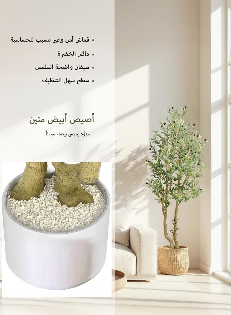Zvezvia Artificial Olive Tree with Two Trunks – 1882 Dense Leaves & 96 Realistic Fruits, Easy Assembly & Low Maintenance, Available in 150cm / 180cm / 210cm - Image 3