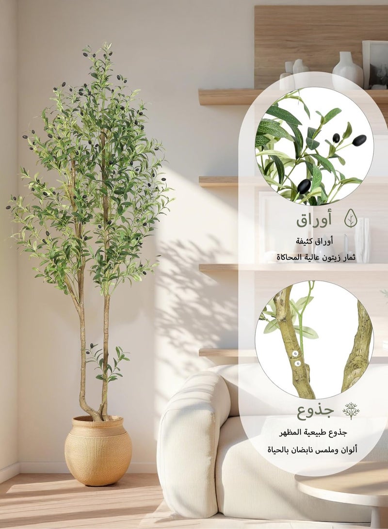 Zvezvia Artificial Olive Tree with Two Trunks – 1882 Dense Leaves & 96 Realistic Fruits, Easy Assembly & Low Maintenance, Available in 150cm / 180cm / 210cm - Image 4